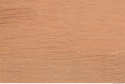 Photo Texture of Books